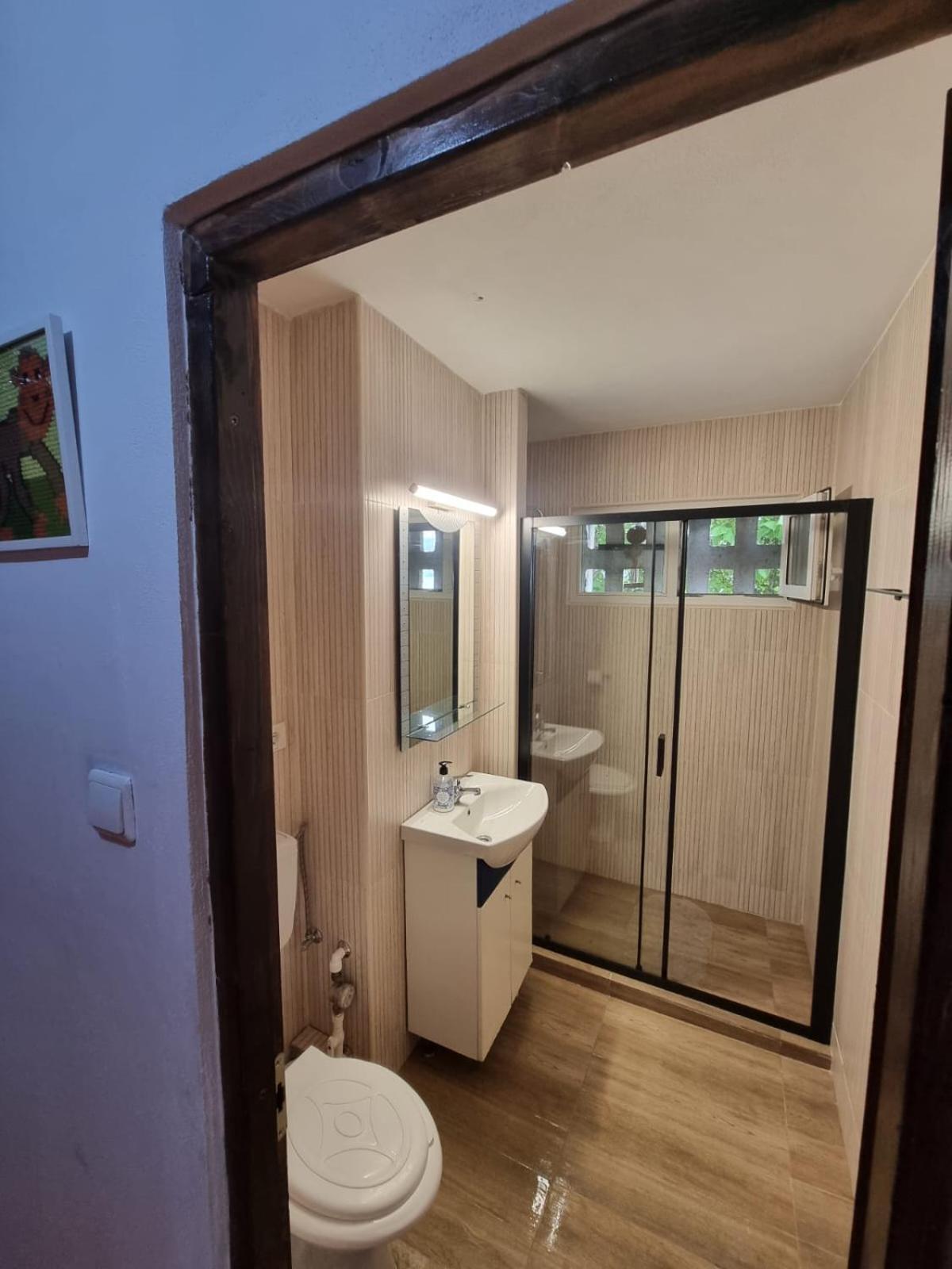 Apartament Apartament Denis Orszowa Zewnętrze zdjęcie