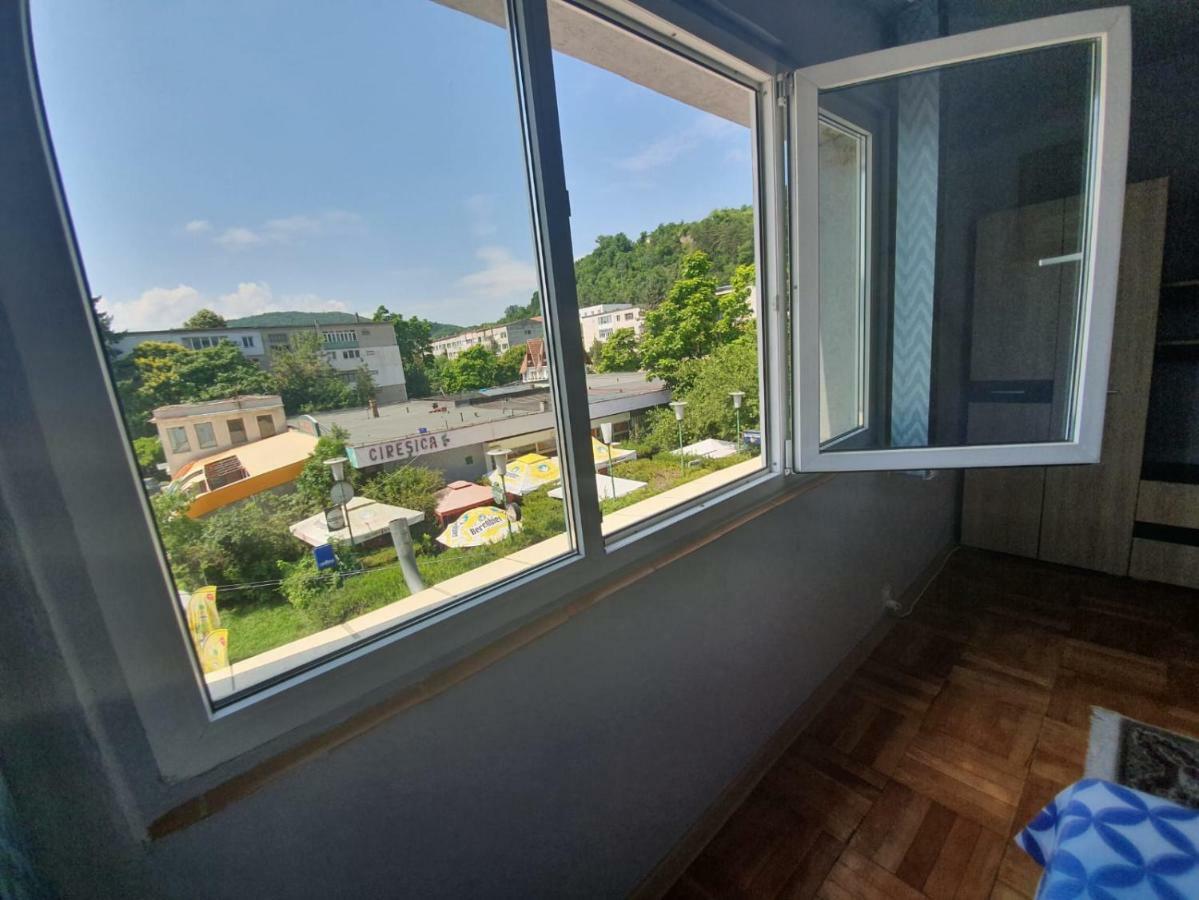 Apartament Apartament Denis Orszowa Zewnętrze zdjęcie